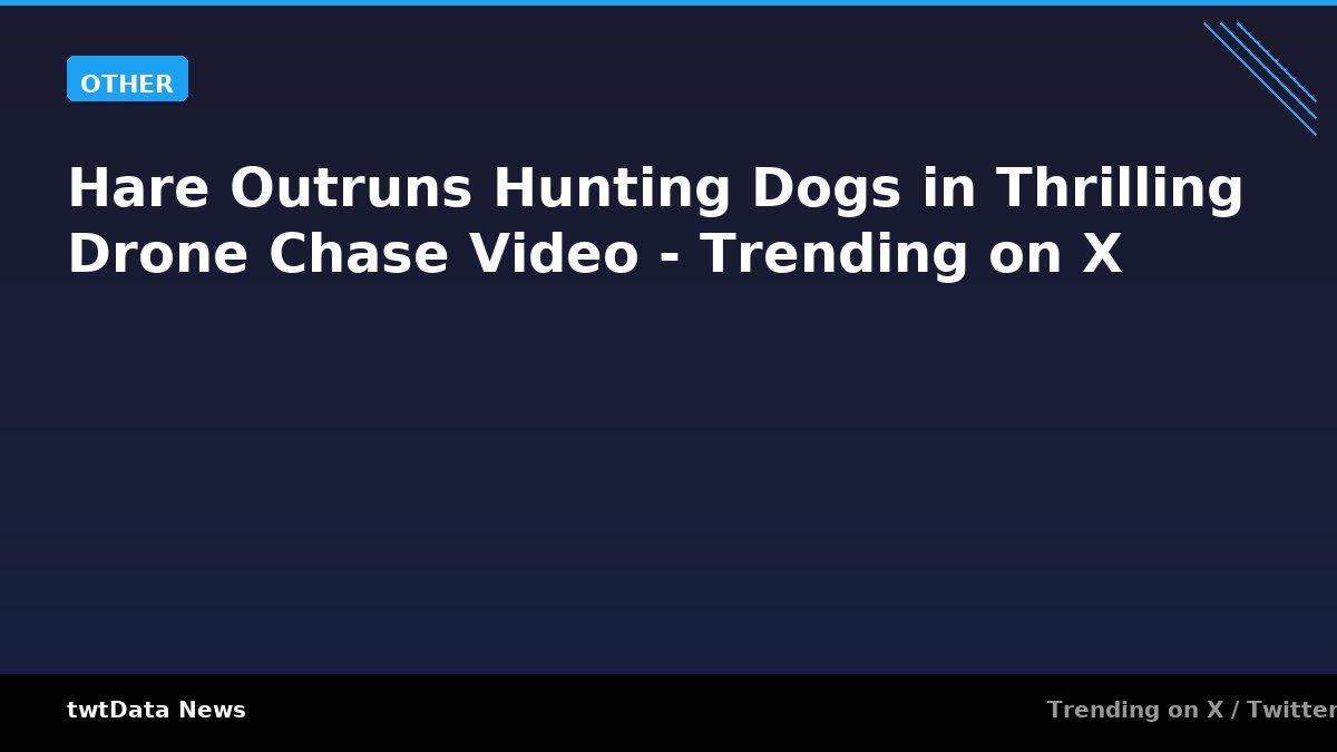 Hare Outruns Hunting Dogs in Thrilling Drone Chase Video - Trending on X