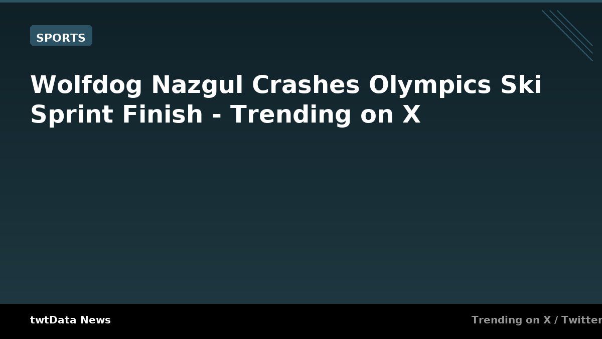 Wolfdog Nazgul Crashes Olympics Ski Sprint Finish - Trending on X